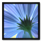 Quadro Decorativo - Flor - 50cm X 50cm - 015qnfcp