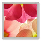 Quadro Decorativo - Flor - 50cm X 50cm - 016qnfcb