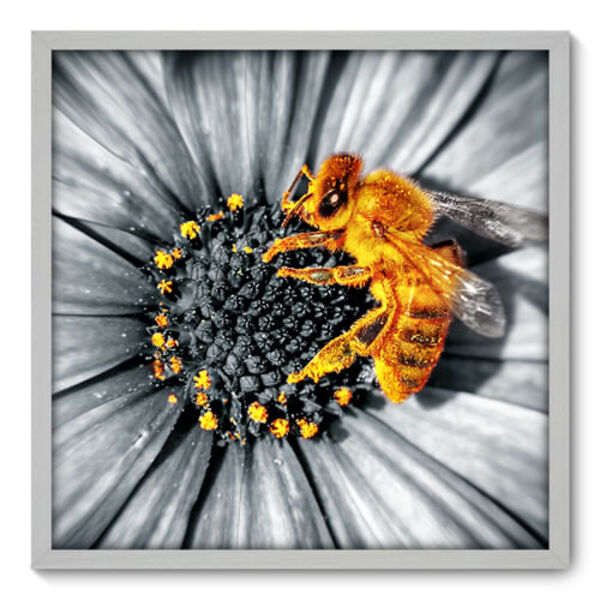 Quadro Decorativo - Flor - 70cm X 70cm - 009qnfdb