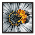 Quadro Decorativo - Flor - 70cm X 70cm - 009qnfdp