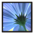 Quadro Decorativo - Flor - 70cm X 70cm - 015qnfdp