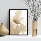 Quadro Decorativo Flor Bege Fundo Branco 45x34cm - Com Vidro