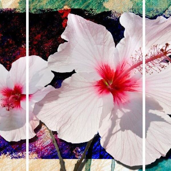 Quadro Decorativo Flor Branca Para Sala 3 Peças