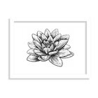 Quadro Decorativo Flor De Lótus Preto E Branco
