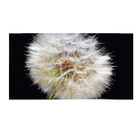 Quadro Decorativo Flor Dente De Leão 55x100cm