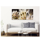 Quadro Decorativo Flor Dente De Leão Bege 70x150 Trio