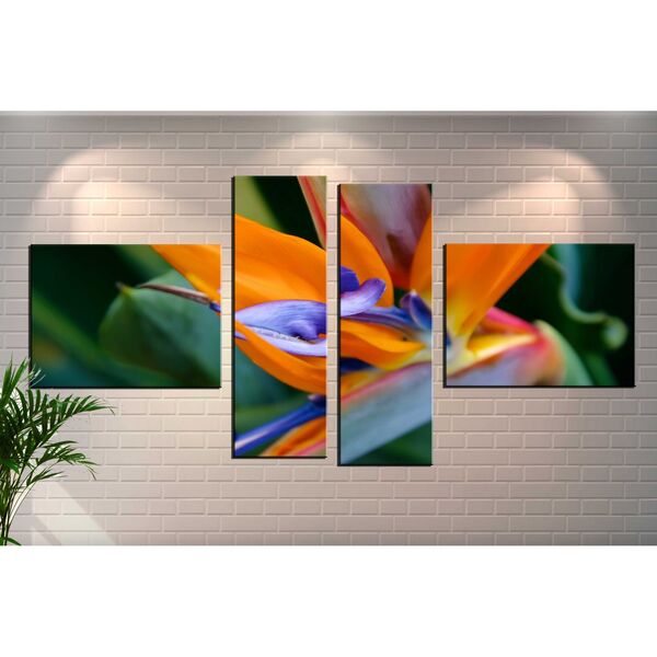 Quadro Decorativo Flor Estrelizia 4 Peças Para Sala E Quarto