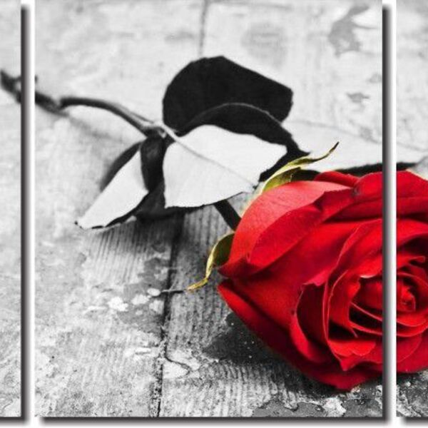 Quadro Decorativo Flor Rosa Vermelha 3 Peças