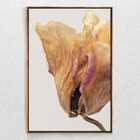Quadro Decorativo Flor Seca Com Moldura E Sem Vidro 100x160