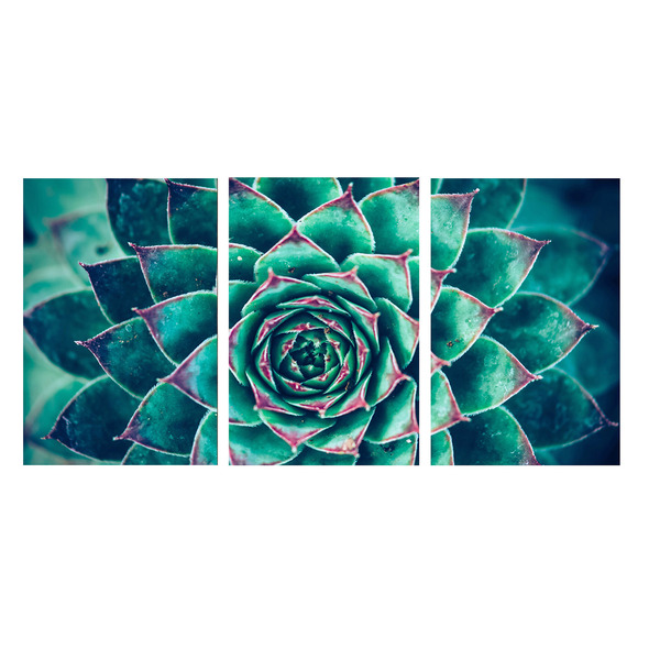 Quadro Decorativo Flor Suculenta Azul 70x150 Trio