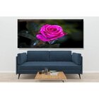 Quadro Decorativo Floral Garden Rose - 90x60cm