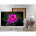 Quadro Decorativo Floral Garden Rose - 90x60cm