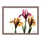 Quadro Decorativo Floral Iii Imbuia