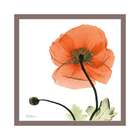 Quadro Decorativo Floral Iv Imbuia