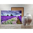 Quadro Decorativo Floral Paisagem Campo De Lavanda - 200x120cm