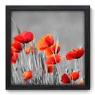 Quadro Decorativo - Flores - 33cm X 33cm - 020qnfbp