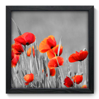 Quadro Decorativo - Flores - 33cm X 33cm - 020qnfbp