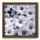 Quadro Decorativo - Flores - 33cm X 33cm - 069qdfm