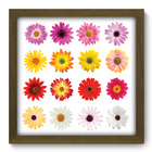 Quadro Decorativo - Flores - 33cm X 33cm - 077qdfm