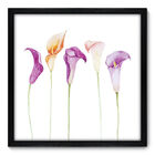 Quadro Decorativo - Flores - 50cm X 50cm - 028qnfcp