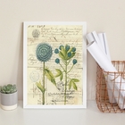 Quadro Decorativo Flores Azuis- Botânica Retrô 33x24cm Moldur