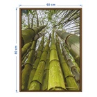 Quadro Decorativo Flores de Bambu Colorido com Vidro 80x60x2,8cm Tropical