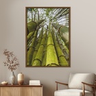 Quadro Decorativo Flores de Bambu Colorido com Vidro 80x60x2,8cm Tropical