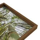 Quadro Decorativo Flores de Bambu Colorido com Vidro 80x60x2,8cm Tropical