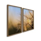 Quadro Decorativo Flores Dente De Leão 2 Telas 60x90cm Para B