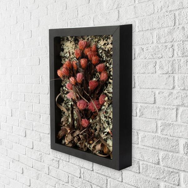 Quadro Decorativo Flores Desidratadas Arapuama 21x30