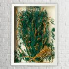 Quadro Decorativo Flores Desidratadas Pinterest Sala 30x42