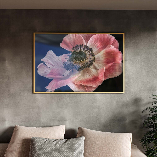 Quadro Decorativo Flores E Folhas Flor De Anêmona Azul,rosa E