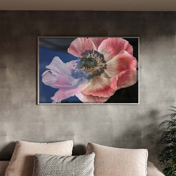 Quadro Decorativo Flores E Folhas Flor De Anêmona Azul,rosa E
