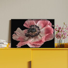 Quadro Decorativo Flores E Folhas Flor De Anêmona Azul,rosa E