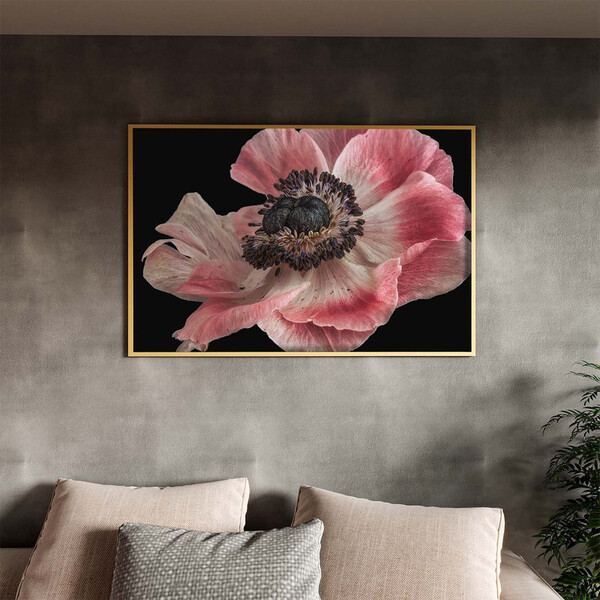 Quadro Decorativo Flores E Folhas Flor De Anêmona Azul,rosa E