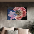 Quadro Decorativo Flores E Folhas Flor De Anêmona Azul,rosa E