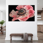 Quadro Decorativo Flores E Folhas Flor De Anêmona Azul,rosa E