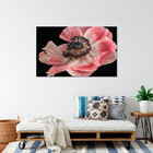 Quadro Decorativo Flores E Folhas Flor De Anêmona Azul,rosa E