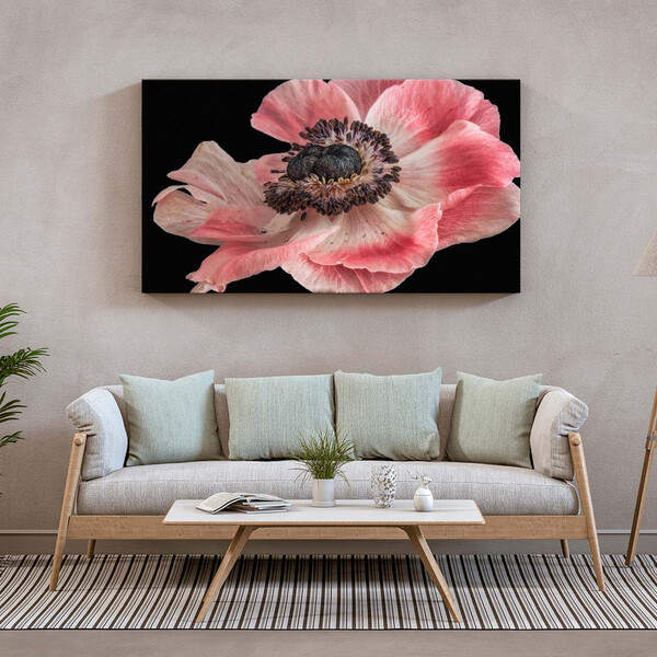Quadro Decorativo Flores E Folhas Flor De Anêmona Azul,rosa E