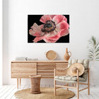 Quadro Decorativo Flores E Folhas Flor De Anêmona Azul,rosa E