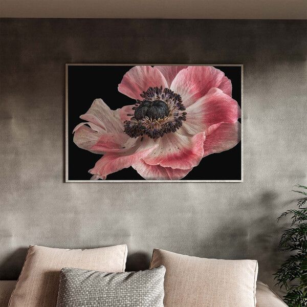 Quadro Decorativo Flores E Folhas Flor De Anêmona Azul,rosa E