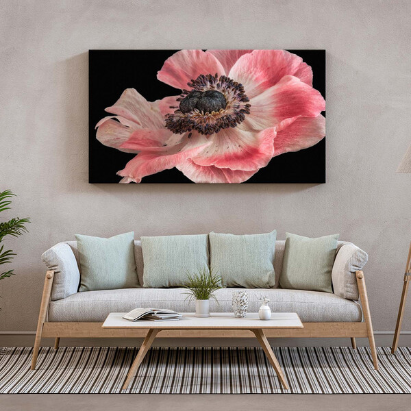 Quadro Decorativo Flores E Folhas Flor De Anêmona Azul,rosa E