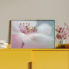 Quadro Decorativo Flores E Folhas Flower Nature White Com Mol