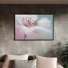Quadro Decorativo Flores E Folhas Flower Nature White Com Mol
