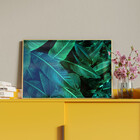 Quadro Decorativo Flores E Folhas Folhas Verdes Green Com Mol