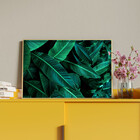 Quadro Decorativo Flores E Folhas Folhas Verdes Green Com Mol