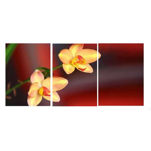 Quadro Decorativo Flores Estampado