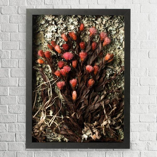 Quadro Decorativo Flores Secas Arapuama 30x42