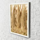 Quadro Decorativo Flores Secas Pluminha + Pampas 30x42