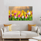 Quadro Decorativo Flores Tulipa Coloridas 1 Peça